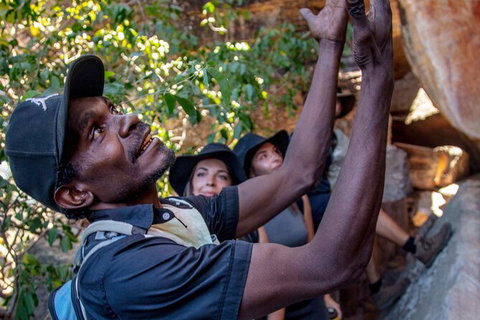 Arnhem Land Injalak Hill Full-Day Tour From Darwin - Accommodation Coffs Harbour 0