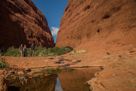 4 Day/3 Night Perentie Dreaming Safari - Accommodation Coffs Harbour 3