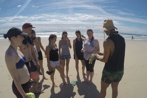Half Day Dolphin Kayaking And Snorkeling Tour - Accommodation Coffs Harbour 6