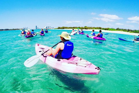 Half Day Dolphin Kayaking And Snorkeling Tour - Accommodation Coffs Harbour 0