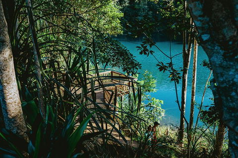 Atherton Tablelands Waterfalls And Rainforest Day Tour Departing Cairns - Accommodation Coffs Harbour 5