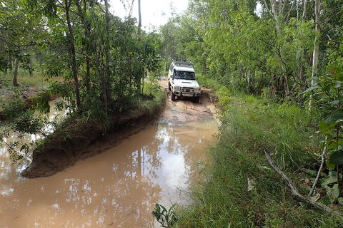 Cairns 4WD Waterfall And Rainforest Tour Including Kuranda Scenic Railway - Accommodation Coffs Harbour 3