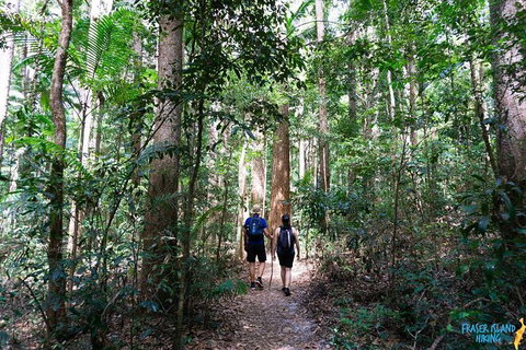 Pack-free Camping: Blue Lakes Eco Hike - 3 Days - Accommodation Coffs Harbour 1