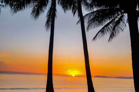 Airport Transfers Between Cairns Airport And Palm Cove - Accommodation Coffs Harbour 4