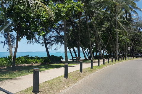 Airport Transfers Between Cairns Airport And Palm Cove - Accommodation Coffs Harbour 6