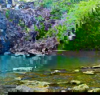 Reef Wildlife  Rainforest - Reef  Beyond Guided Holidays - Accommodation Coffs Harbour