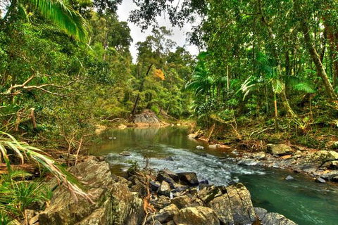 Reef, Wildlife & Rainforest - Reef & Beyond Guided Holidays - Accommodation Coffs Harbour 3