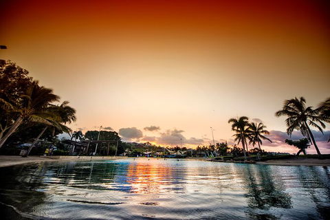 Reef, Wildlife & Rainforest - Reef & Beyond Guided Holidays - Accommodation Coffs Harbour 6
