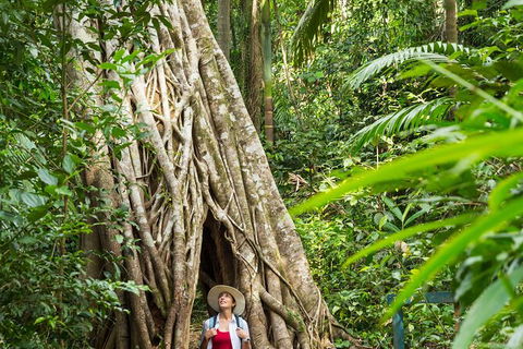 Rainforest To Reef Experience - Reef And Beyond Guided Holidays - Accommodation Coffs Harbour 2