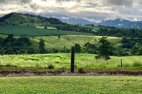 Tableland Tasting Tour - Accommodation Coffs Harbour 0