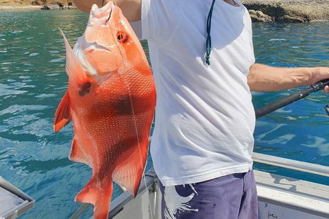 Adventure Fishing Combo Day - Fish, Swim, Whitehaven, Hill Inlet Bush Walking - Accommodation Coffs Harbour 2