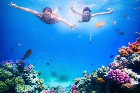 Adventure Fishing Combo Day - Fish, Swim, Whitehaven, Hill Inlet Bush Walking - Accommodation Coffs Harbour 5