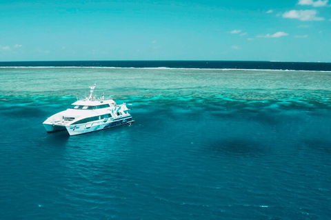 Australia East Coast: End Of Semester - Accommodation Coffs Harbour 1