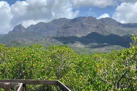 Hinchinbrook Island Tour - Accommodation Coffs Harbour 0