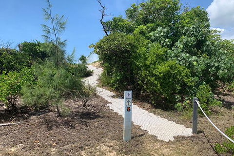Hinchinbrook Island Tour - Accommodation Coffs Harbour 1
