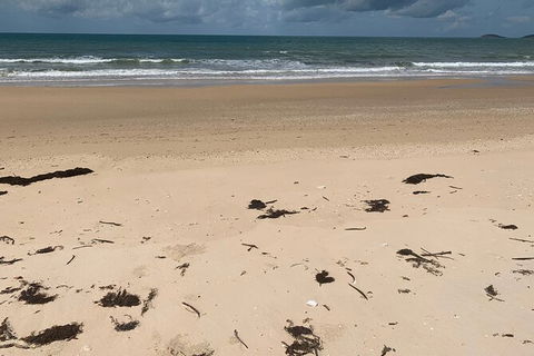Hinchinbrook Island Tour - Accommodation Coffs Harbour 6