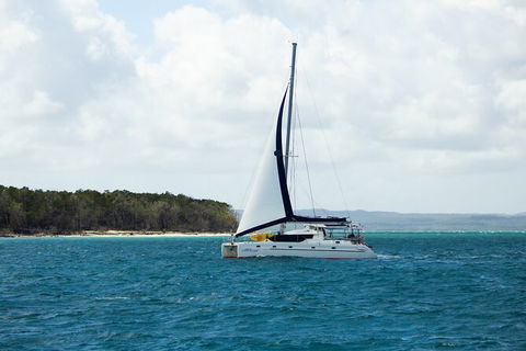 Bareboat Hire - Cattitude 7 Nights - Accommodation Coffs Harbour 3