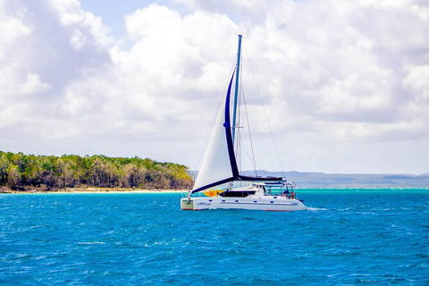 5 Night Bareboat Onboard Cattitude - Accommodation Coffs Harbour 0