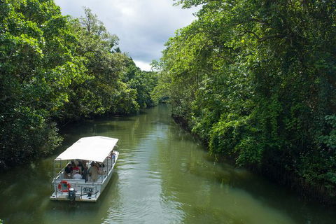 World Heritage Highlights: Reef/Daintree/Cape Tribulation - Accommodation Coffs Harbour 1