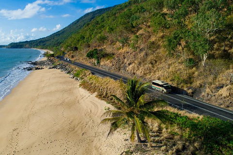 World Heritage Highlights: Reef/Daintree/Cape Tribulation - Accommodation Coffs Harbour 5