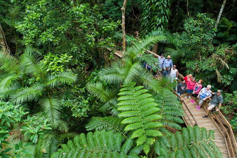 World Heritage Highlights: Reef/Daintree/Cape Tribulation - Accommodation Coffs Harbour 3