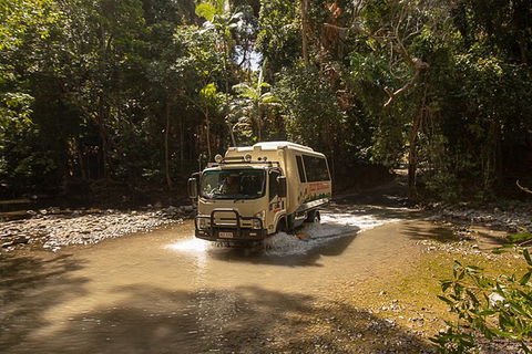 World Heritage Highlights: Reef/Daintree/Cape Tribulation - Accommodation Coffs Harbour 6