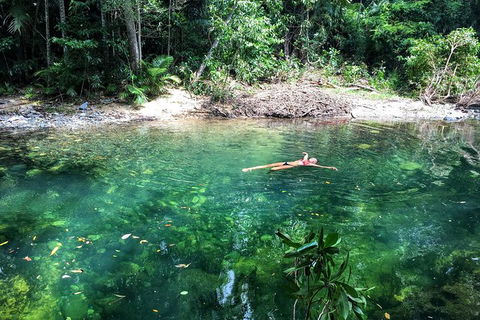 World Heritage Highlights: Reef/Daintree/Cape Tribulation - Accommodation Coffs Harbour 4