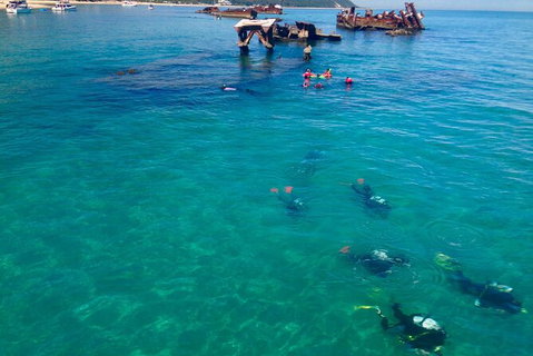 Adventure Moreton Island Scuba Dive Tour - Accommodation Coffs Harbour 0