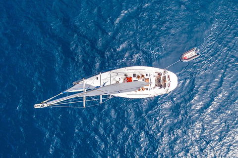 Small-Group Queensland Full-Day Sail Retreat Experience - Accommodation Coffs Harbour 5