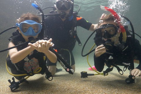 Scuba Kids- Padi Bubblemaker Course - Accommodation Coffs Harbour 4