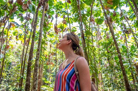 5 Day Australia Retreat: Queensland Daintree - Accommodation Coffs Harbour 3