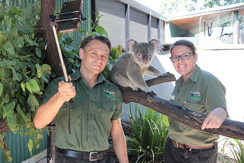 Virtual Interactive Australian Wildlife Tour With Private Guide-Wildlife Habitat - Accommodation Coffs Harbour 4
