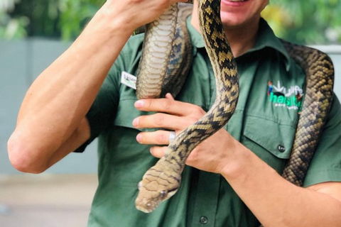 Virtual Interactive Australian Wildlife Tour With Private Guide-Wildlife Habitat - Accommodation Coffs Harbour 3