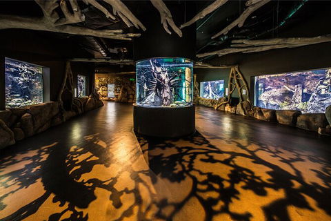 Cairns Aquarium Tour By Twilight With Drink And Appetiser - Accommodation Coffs Harbour 4