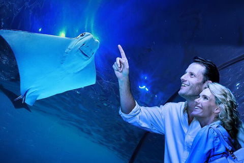 Cairns Aquarium Tour By Twilight With Drink And Appetiser - Accommodation Coffs Harbour 0