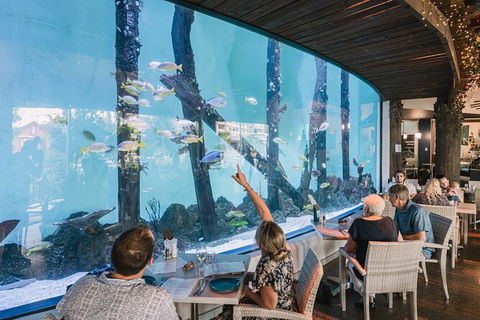 Cairns Aquarium Tour By Twilight With Drink And Appetiser - Accommodation Coffs Harbour 1
