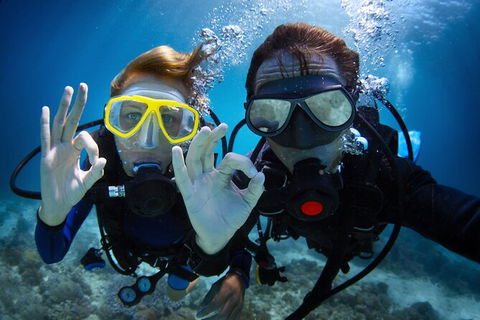 2 Night Whitsunday Islands Cruise On Atlantic Clipper From Airlie Beach - Accommodation Coffs Harbour 4