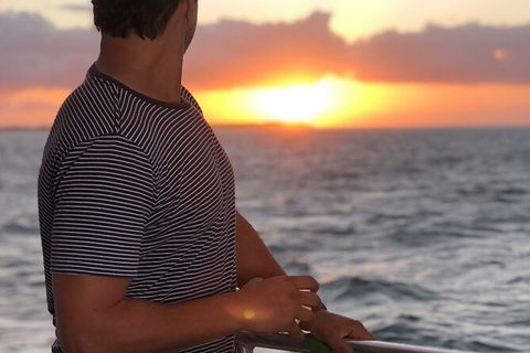 Sunset Twilight Cruise In Hervey Bay - Accommodation Coffs Harbour 3