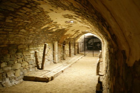 Bungaree & Burra UnEarthed - Accommodation Coffs Harbour 2