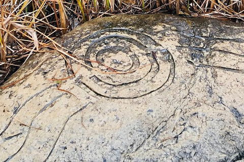 Adelaide Cultural Safari - Private Charters - Accommodation Coffs Harbour 2