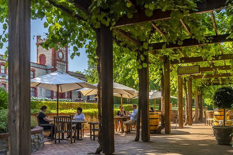 Yalumba Nursery & Grenache Discovery Tour + Platter Lunch - Accommodation Coffs Harbour 4