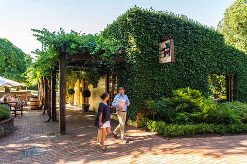 Yalumba Nursery & Grenache Discovery Tour + Platter Lunch - Accommodation Coffs Harbour 3