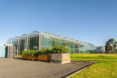 Yalumba Nursery & Grenache Discovery Tour + Platter Lunch - Accommodation Coffs Harbour 5