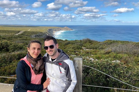 NEW TOUR - Flinders Chase Tour (Recovering From Fires) - Accommodation Coffs Harbour 3
