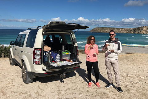 NEW TOUR - Flinders Chase Tour (Recovering From Fires) - Accommodation Coffs Harbour 0