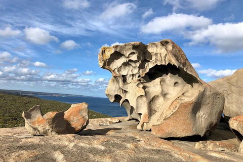 NEW TOUR - Flinders Chase Tour (Recovering From Fires) - Accommodation Coffs Harbour 2