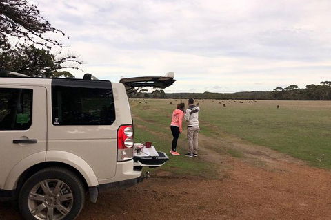 NEW TOUR - Flinders Chase Tour (Recovering From Fires) - Accommodation Coffs Harbour 6