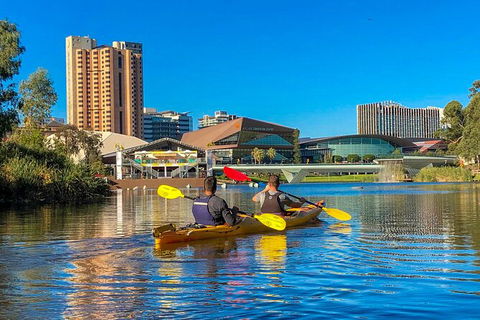 Adelaide City Kayak Tour - Accommodation Coffs Harbour 3