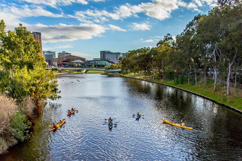 Adelaide City Kayak Tour - Accommodation Coffs Harbour 6