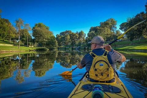 Adelaide City Kayak Tour - Accommodation Coffs Harbour 1